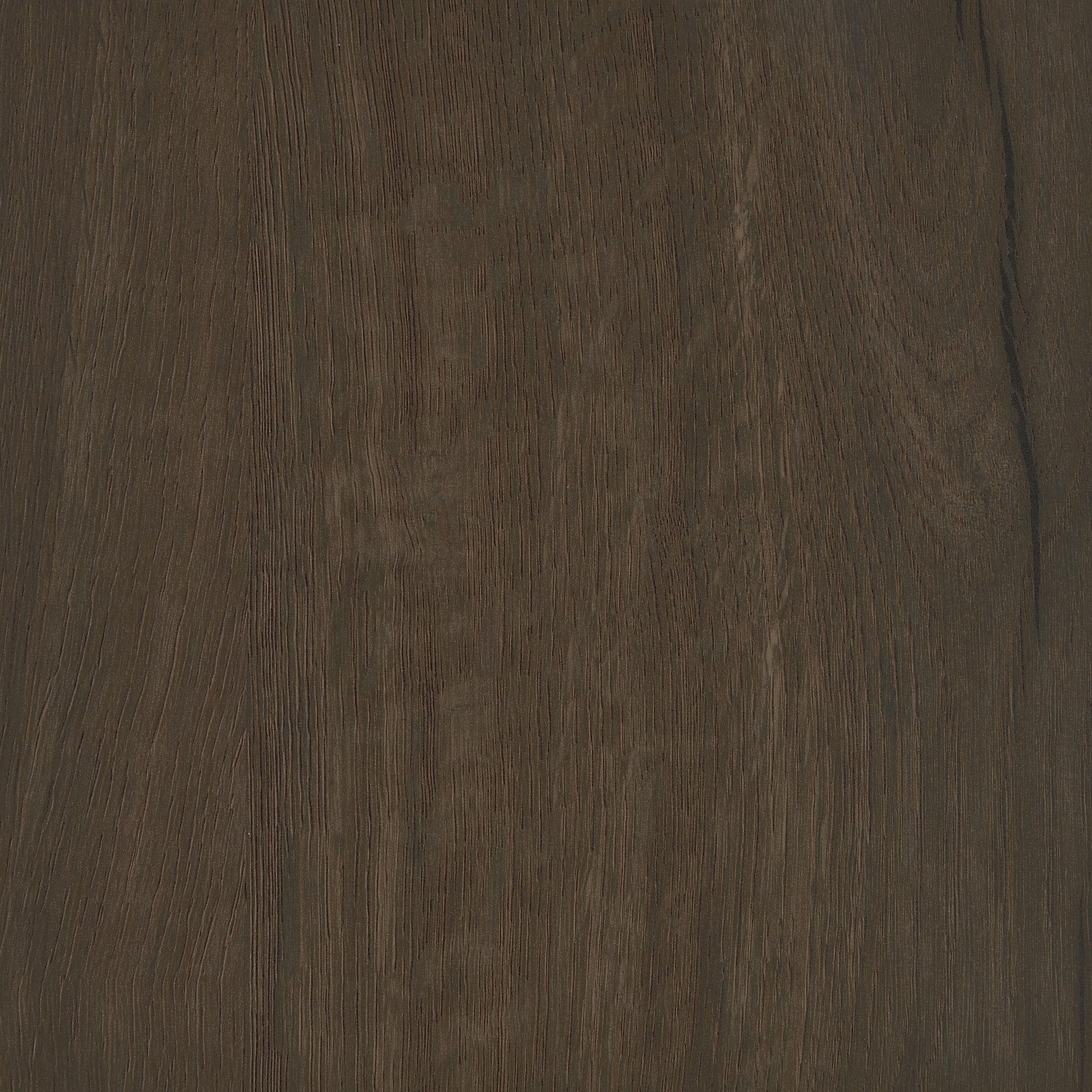 Brixton Smoked Oak 2-door Padded Entryway Shoe Storage Bench - Ornate Home