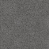 Brixworth Gray Reclining Sofa - Ornate Home