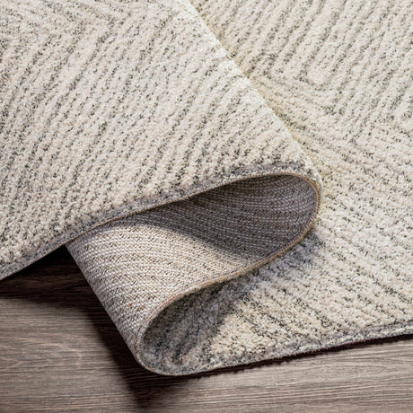 Broadwater Luxe Rug - Ornate Home