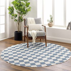Brone Blue Checkered Washable Rug - Ornate Home