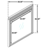 Brookmead Black Dresser Mirror - Ornate Home