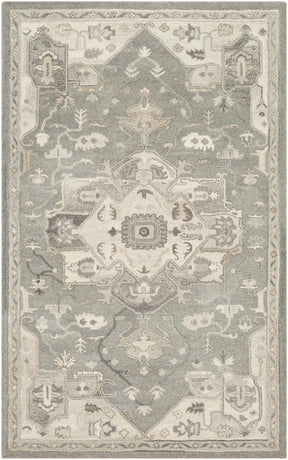 Broomfield 1196 Hand Tufted Taupe Wool Rug - Ornate Home