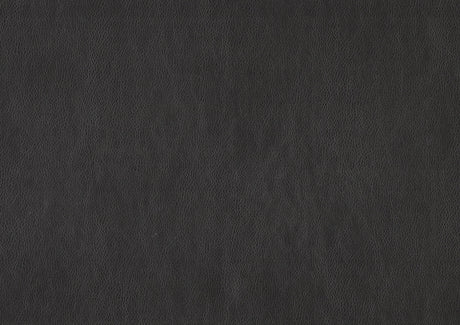 Broomfield Dark Gray Double Reclining Sofa - Ornate Home