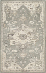 Broomfield Hand Tufted Taupe 1196 Area Rug - Ornate Home
