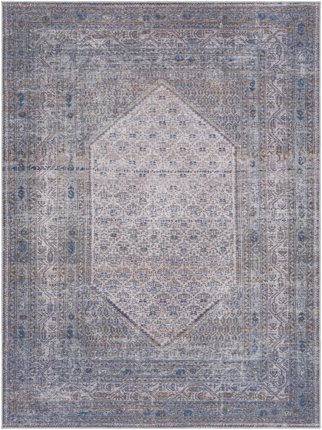 Brown Ballinasloe Vintage Washable Area Rug - Clearance - Ornate Home