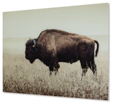 Brutus Wall Art (Online Special Price) - Ornate Home