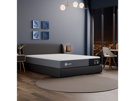 Bsleep 12-inch Cooler Memory Foam Mattress - Ornate Home