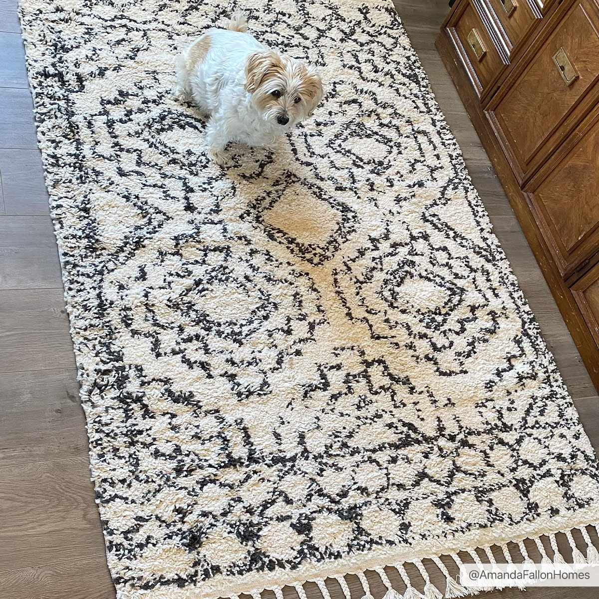 Buan Area Rug - Clearance - Ornate Home