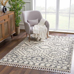 Buan Area Rug - Clearance - Ornate Home