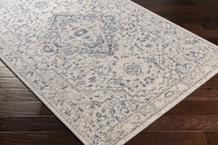 Buguey Area Rug - Clearance - Ornate Home