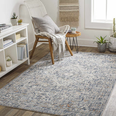 Buguey Blue & Gray Area Rug - Clearance - Ornate Home