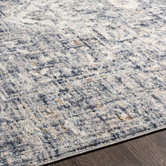 Buguey Blue & Gray Area Rug - Clearance - Ornate Home