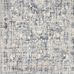Buguey Blue & Gray Area Rug - Clearance - Ornate Home