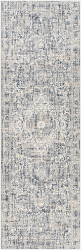 Buguey Blue & Gray Area Rug - Clearance - Ornate Home