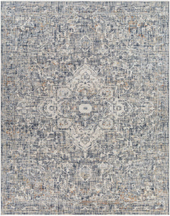 Buguey Blue & Gray Area Rug - Clearance - Ornate Home