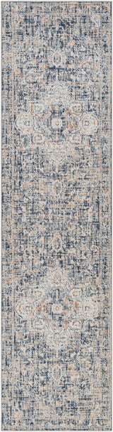 Buguey Blue & Gray Area Rug - Clearance - Ornate Home