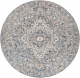 Buguey Blue & Gray Area Rug - Clearance - Ornate Home