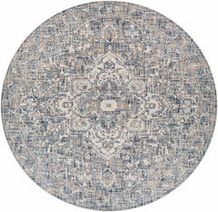 Buguey Blue & Gray Area Rug - Clearance - Ornate Home