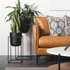 Bumble Black Plant Stands (Set of 2) - Ornate Home