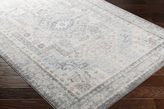 Burham Area Rug - Clearance - Ornate Home