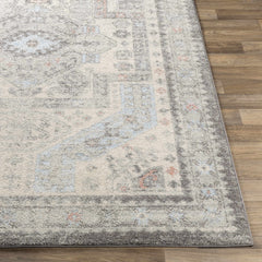 Burham Area Rug - Clearance - Ornate Home