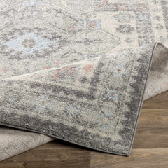 Burham Area Rug - Clearance - Ornate Home