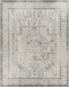 Burham Area Rug - Clearance - Ornate Home