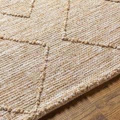 Buse Hand Woven Beige Area Rug - Clearance - Ornate Home