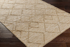 Buse Hand Woven Beige Area Rug - Clearance - Ornate Home