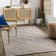 Buse Hand Woven Beige & Blue Area Rug - Clearance - Ornate Home