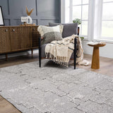 Butch Taupe Textured Performance Rug - Clearance - Ornate Home
