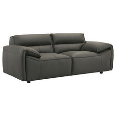 Buxton Graphite 2-piece Leather Upholstered Sofa Set - Ornate Home