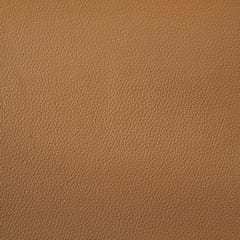 Buxton Orange Top Grain Leather Upholstered Sofa - Ornate Home