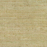 Byrne Green Area Rug - Clearance - Ornate Home