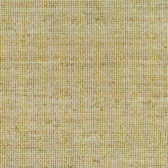 Byrne Green Area Rug - Clearance - Ornate Home