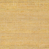 Byrne Tan Area Rug - Clearance - Ornate Home