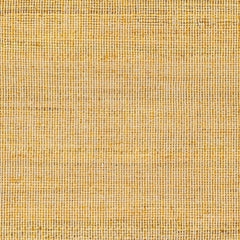 Byrne Tan Area Rug - Clearance - Ornate Home
