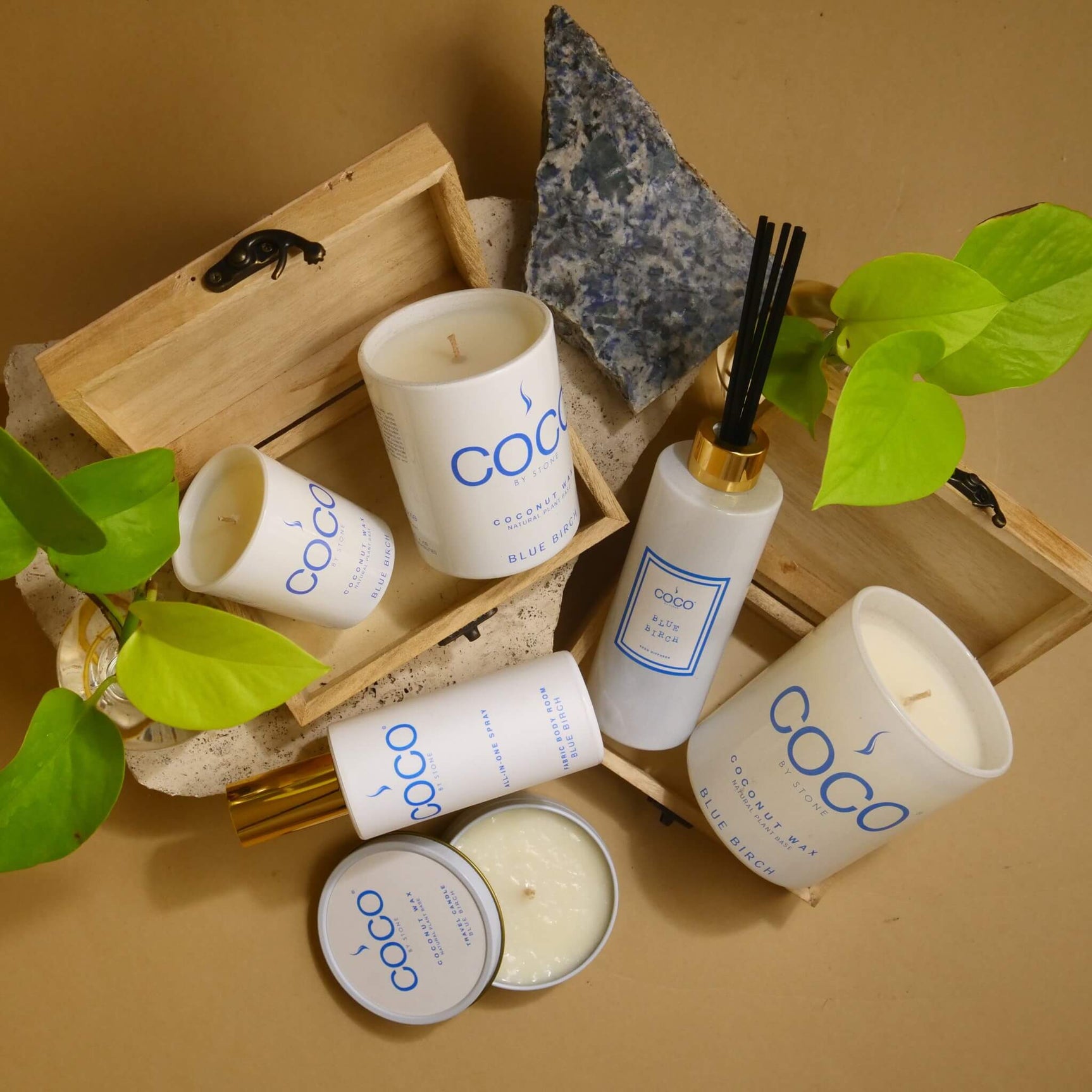 5oz Blue Birch All-In-One Spray