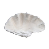 Henley White Resin Shell Sculpture