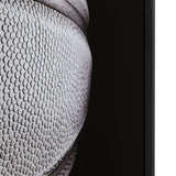 Double Dribble Black Wall Art