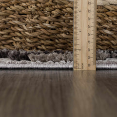 Cabarroguis Area Rug - Ornate Home