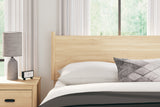 Cabinella Tan Queen Panel Headboard (Online Special Price) - Ornate Home