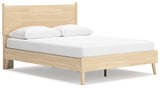 Cabinella Tan Queen Platform Panel Bed (Online Special Price) - Ornate Home
