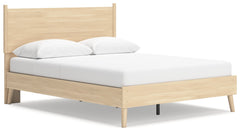 Cabinella Tan Queen Platform Panel Bed - Ornate Home