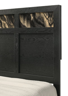 Cadence Black/Gold Queen Panel Bed - Ornate Home