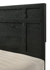 Cadence Black Panel Bedroom Set - Ornate Home