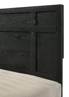 Cadence Black Panel Bedroom Set - Ornate Home