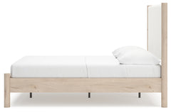 Cadmori Two-tone Full Upholstered Panel Youth Bed - Ornate Home