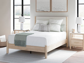 Cadmori Two-tone Queen Upholstered Panel Bed - Ornate Home