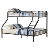Caius Twin XL/Queen Bunk Bed - Ornate Home
